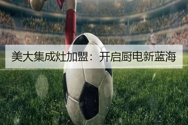 美大集成灶加盟：开启厨电新蓝海