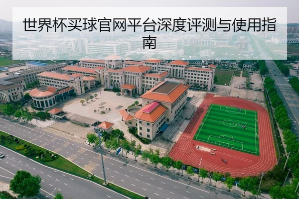 世界杯买球官网平台深度评测与使用指南
