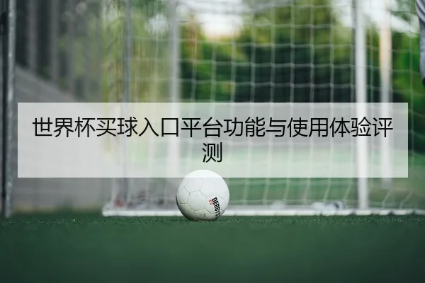 世界杯买球入口平台功能与使用体验评测