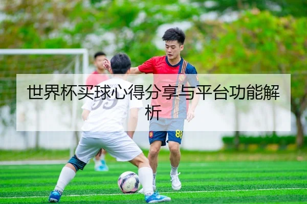 世界杯买球心得分享与平台功能解析