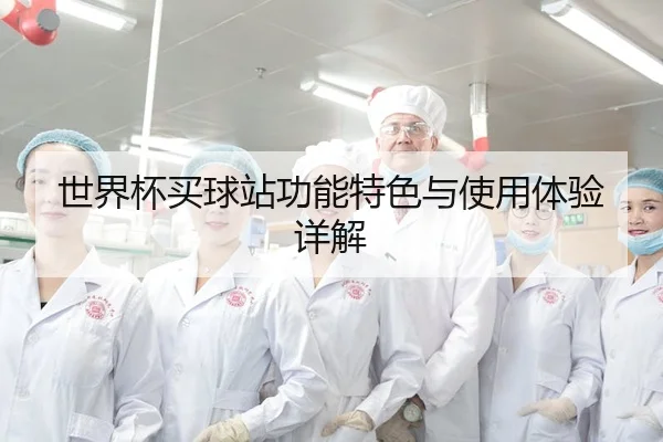 世界杯买球站功能特色与使用体验详解 - HTH