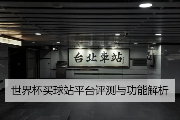 世界杯买球站平台评测与功能解析 | HTH